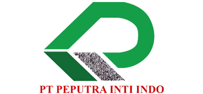 Beranda 22 pii logo